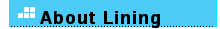 About Lining
